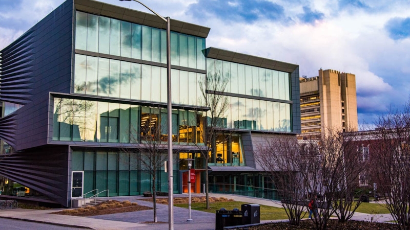 Székhelyszolgáltatás